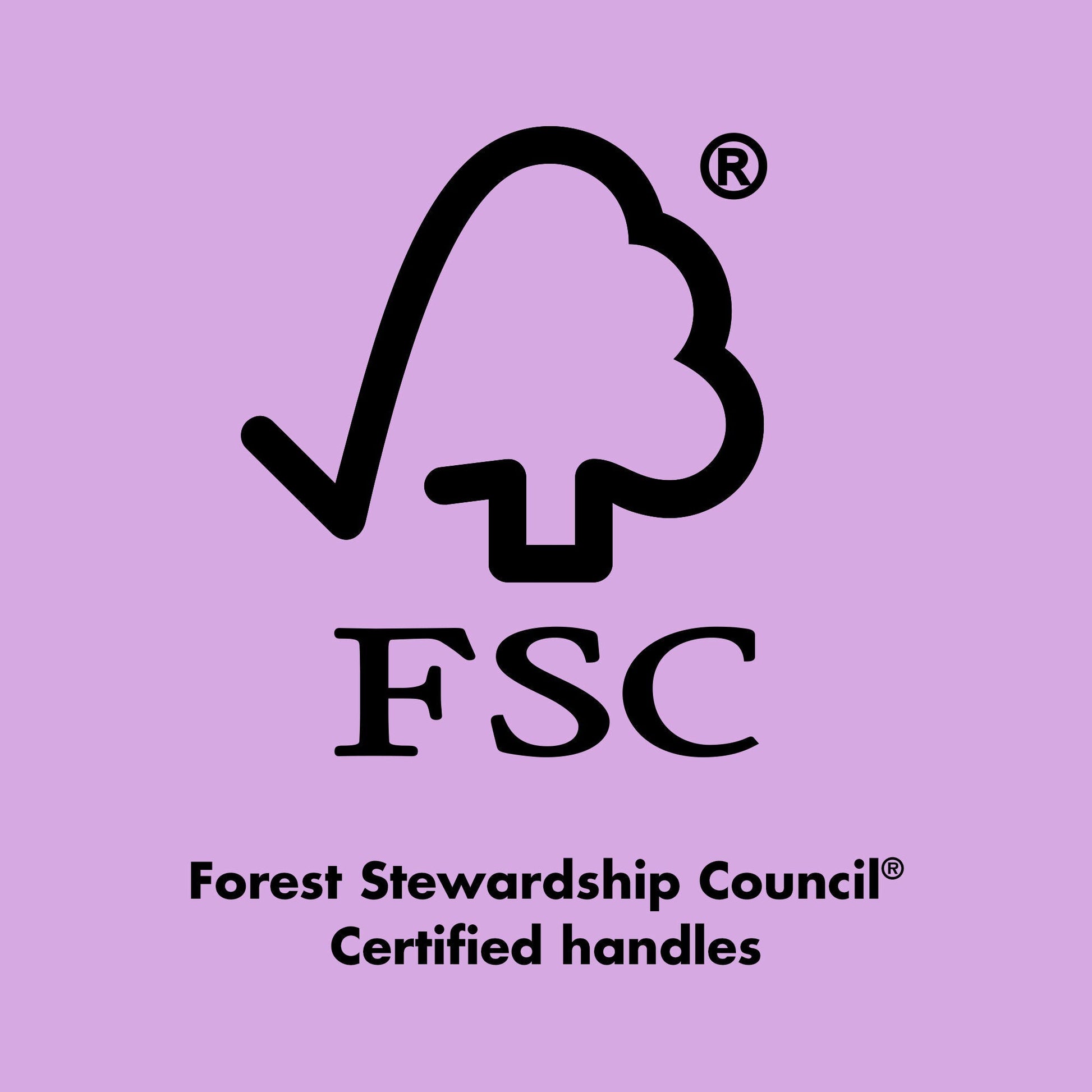 ten-out-of-ten-brush-kit-w1 0423_EDUCATION_FSC_EVERGREEN.jpg