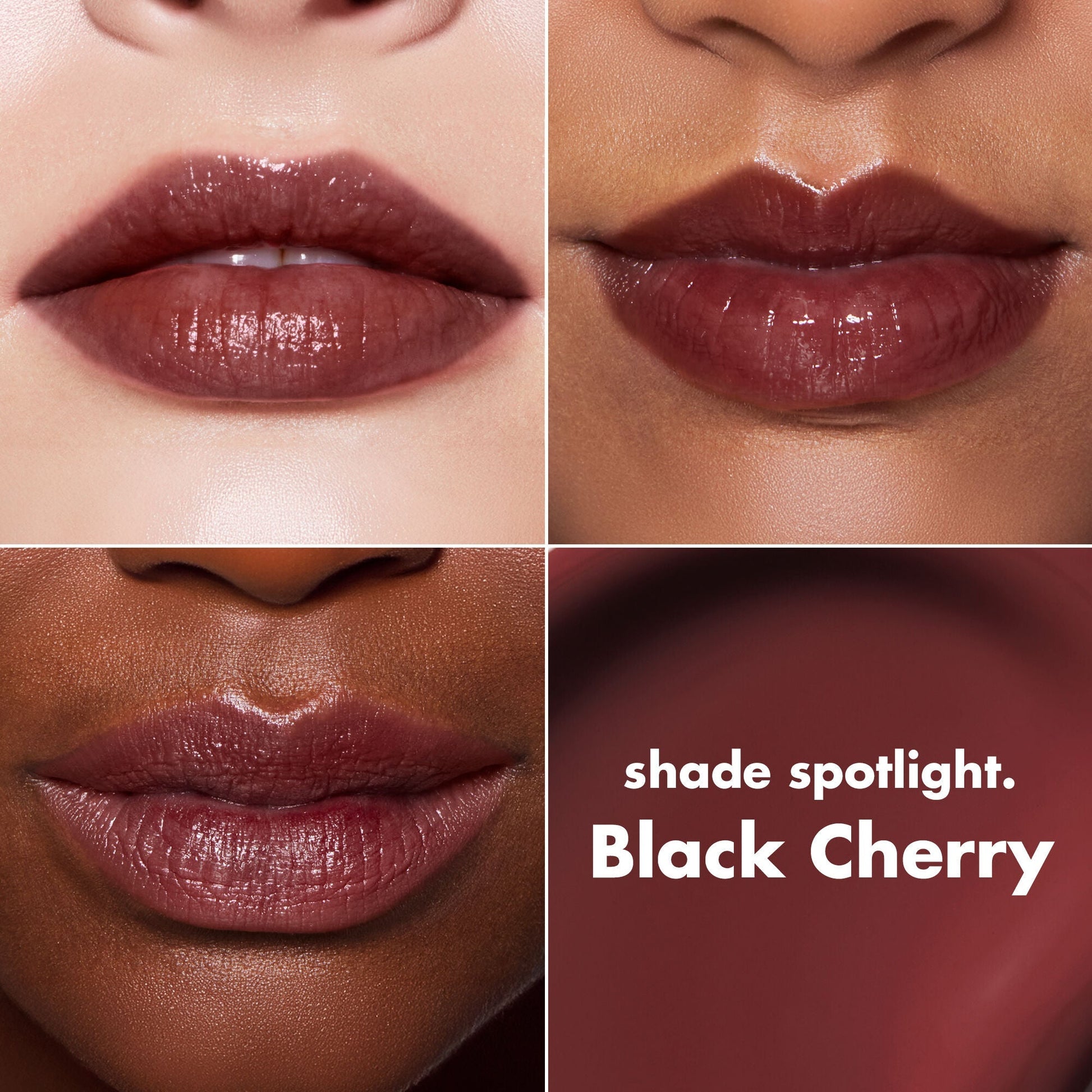 lip-lacquer-b1 0426_EDU_LipLaquer_ShadeChart_BlackCherry.jpg