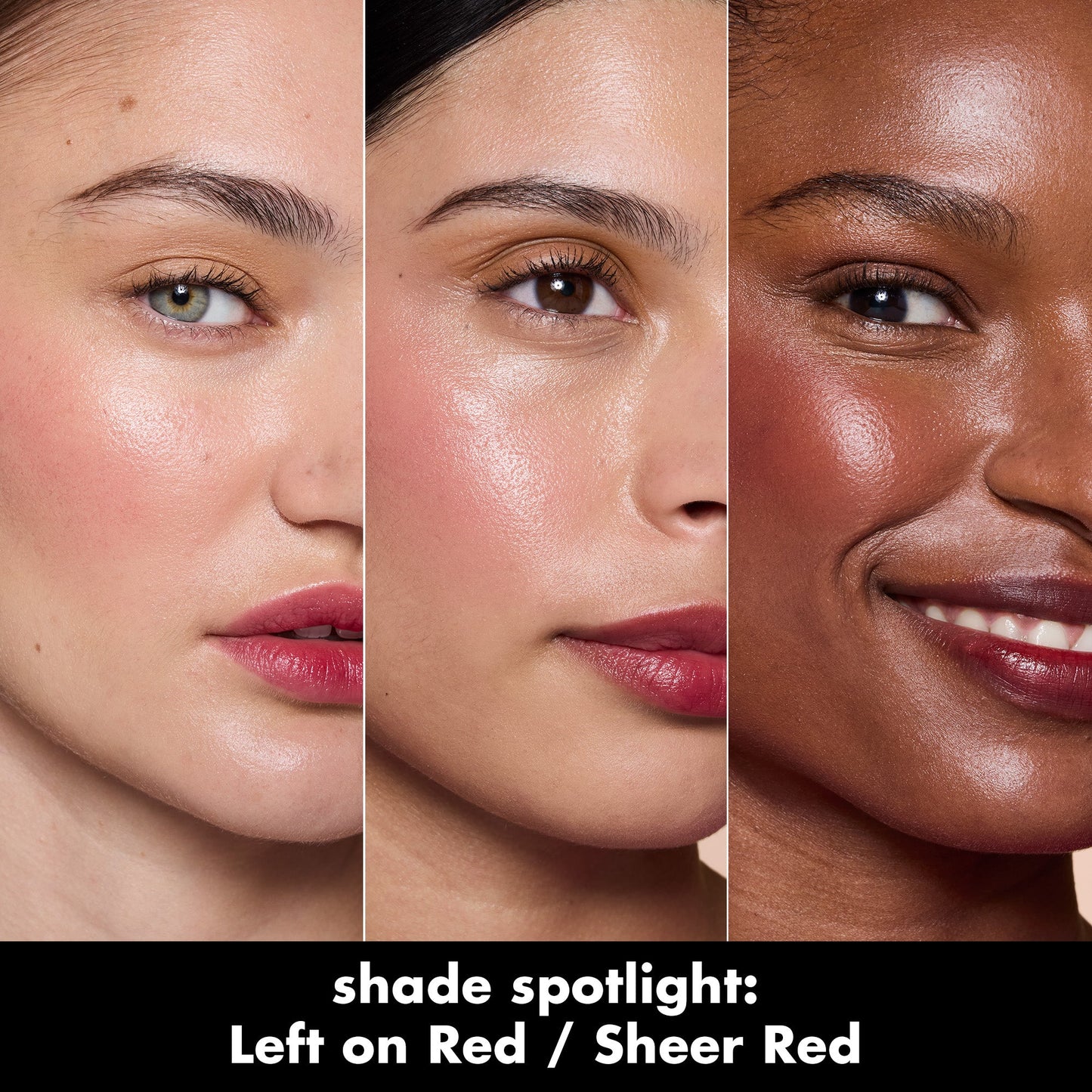 sheer-for-it-blush-tint-u0 0526_SEO_SheerForIt_ShadeSpotlight_LeftOnRed.jpg